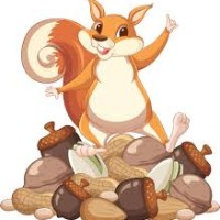 Mr Squirell